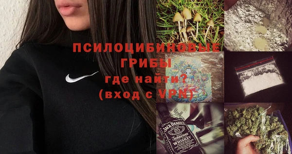 стаф Балахна