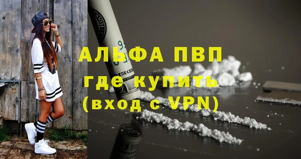 стаф Балахна