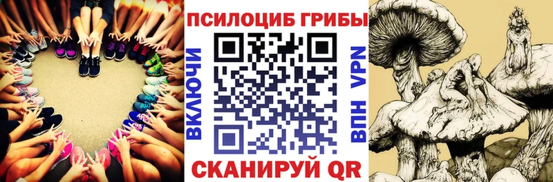 Псилоцибиновые грибы мухоморы  где продают наркотики  Воскресенск 